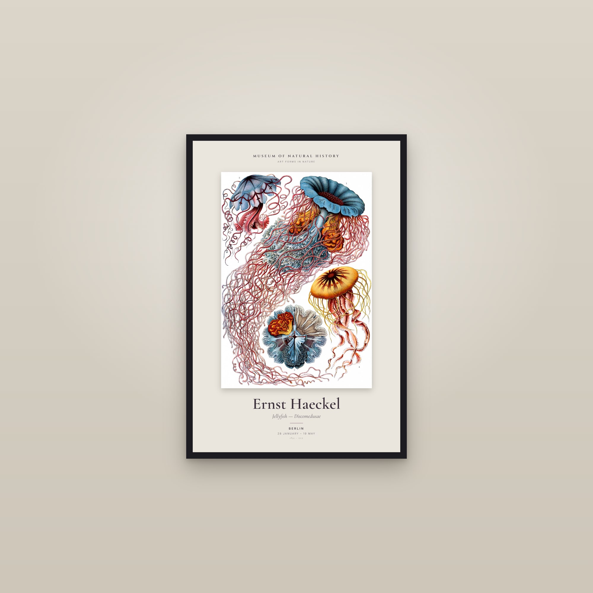 Jellyfish — Discomedusae — Exhibition Poster — framed in a gallery setting