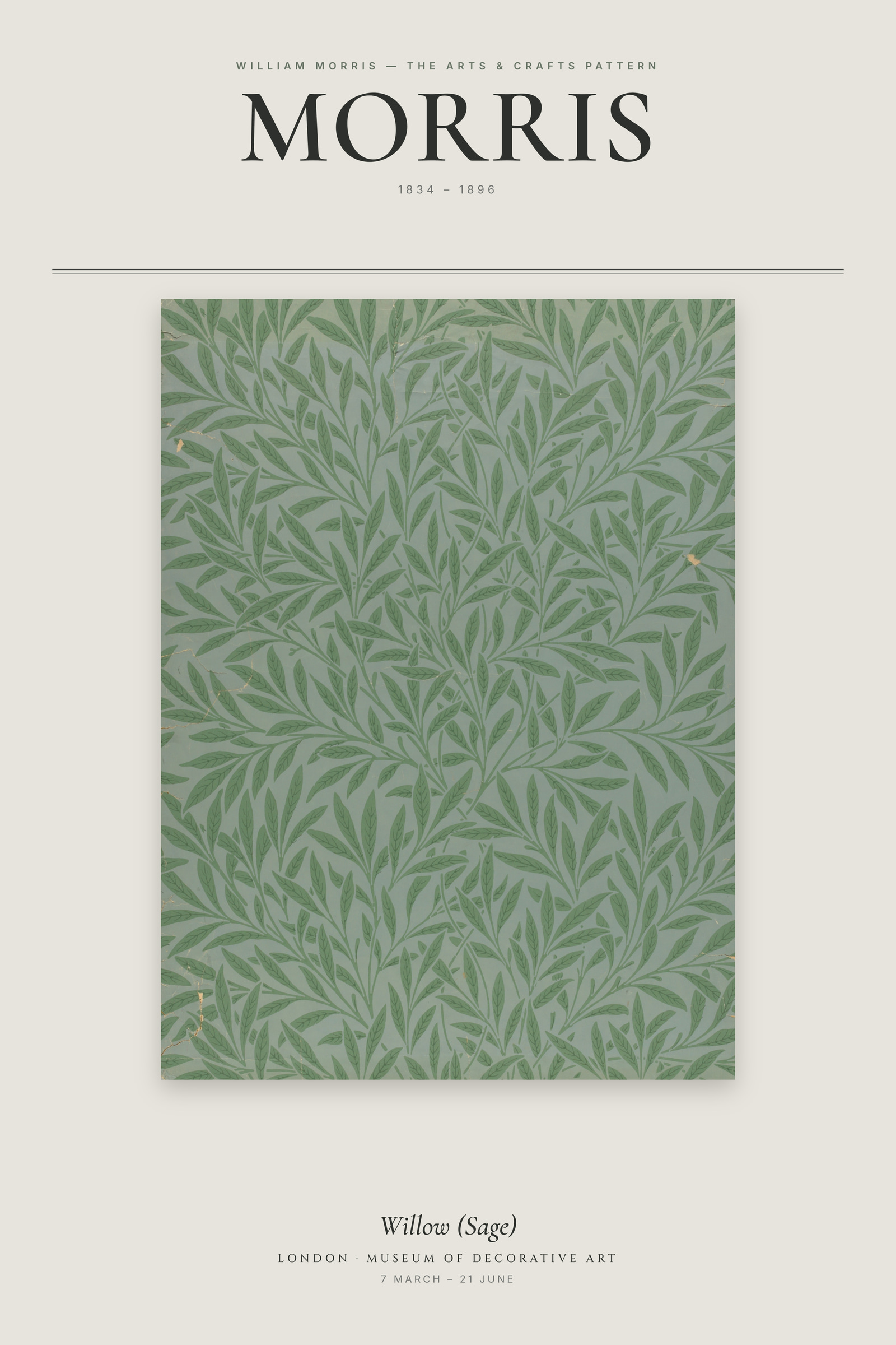 Willow (Sage) — Exhibition Poster