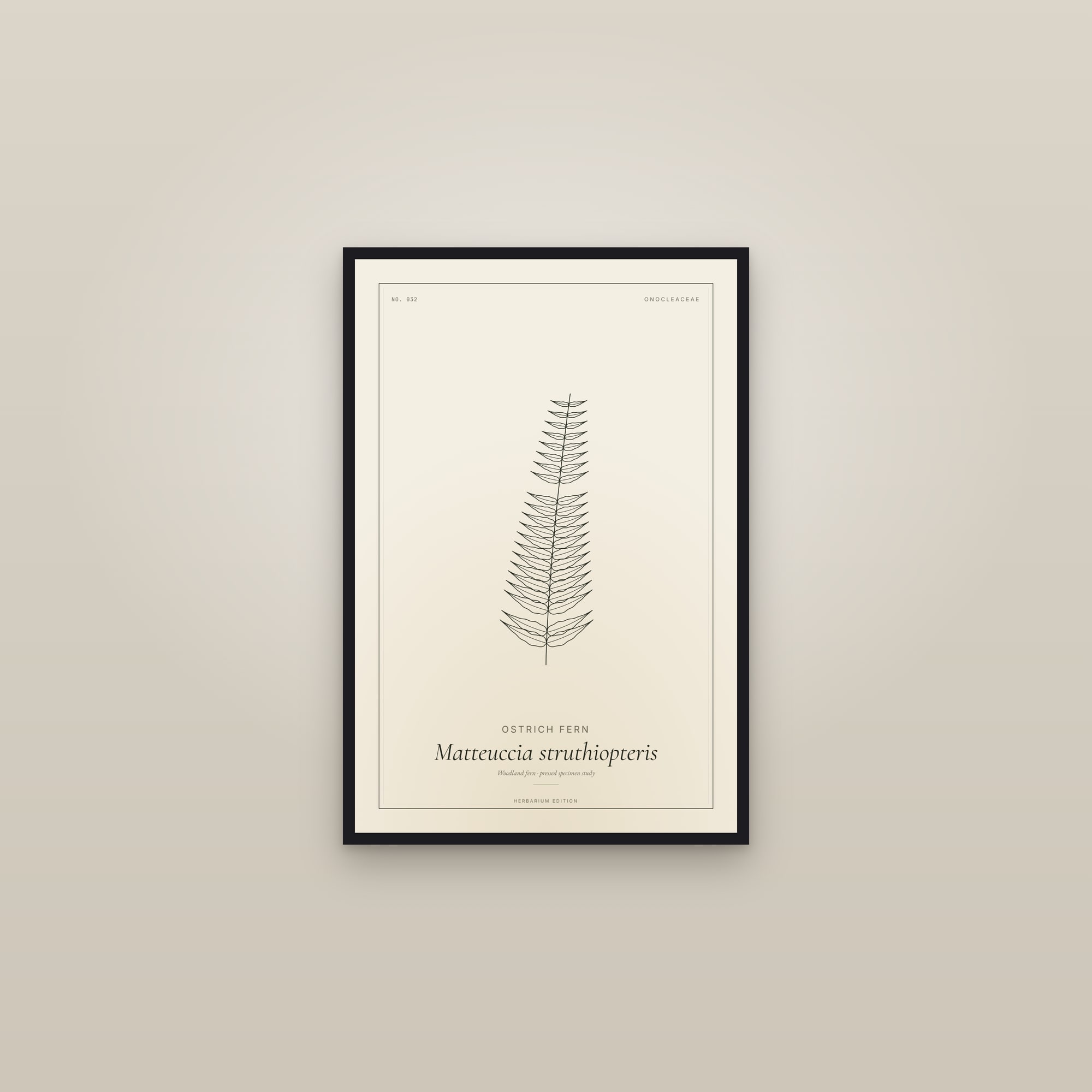 Ostrich Fern — Botanical Specimen — framed in a gallery setting