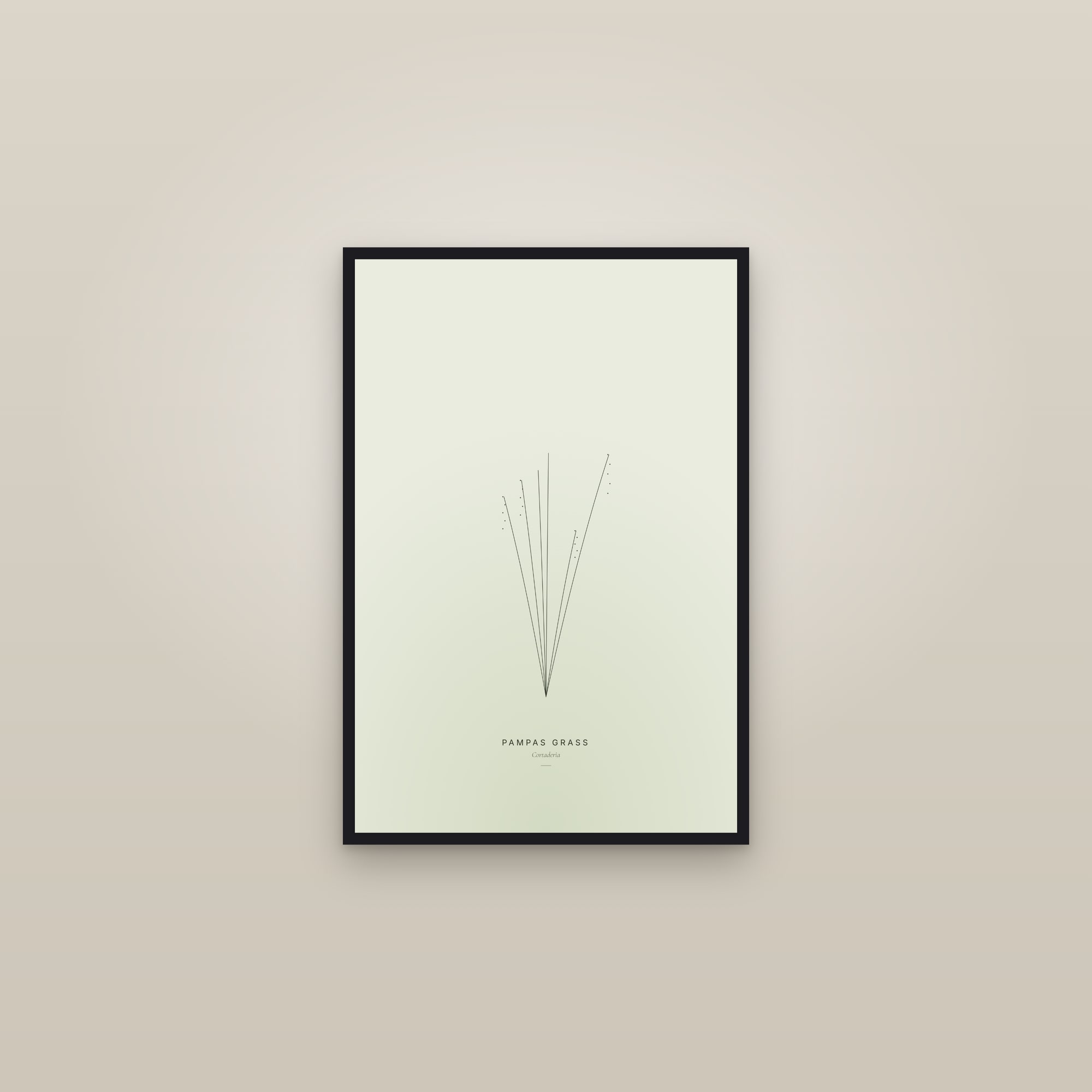 Pampas Grass (Line) — Line Study — framed in a gallery setting