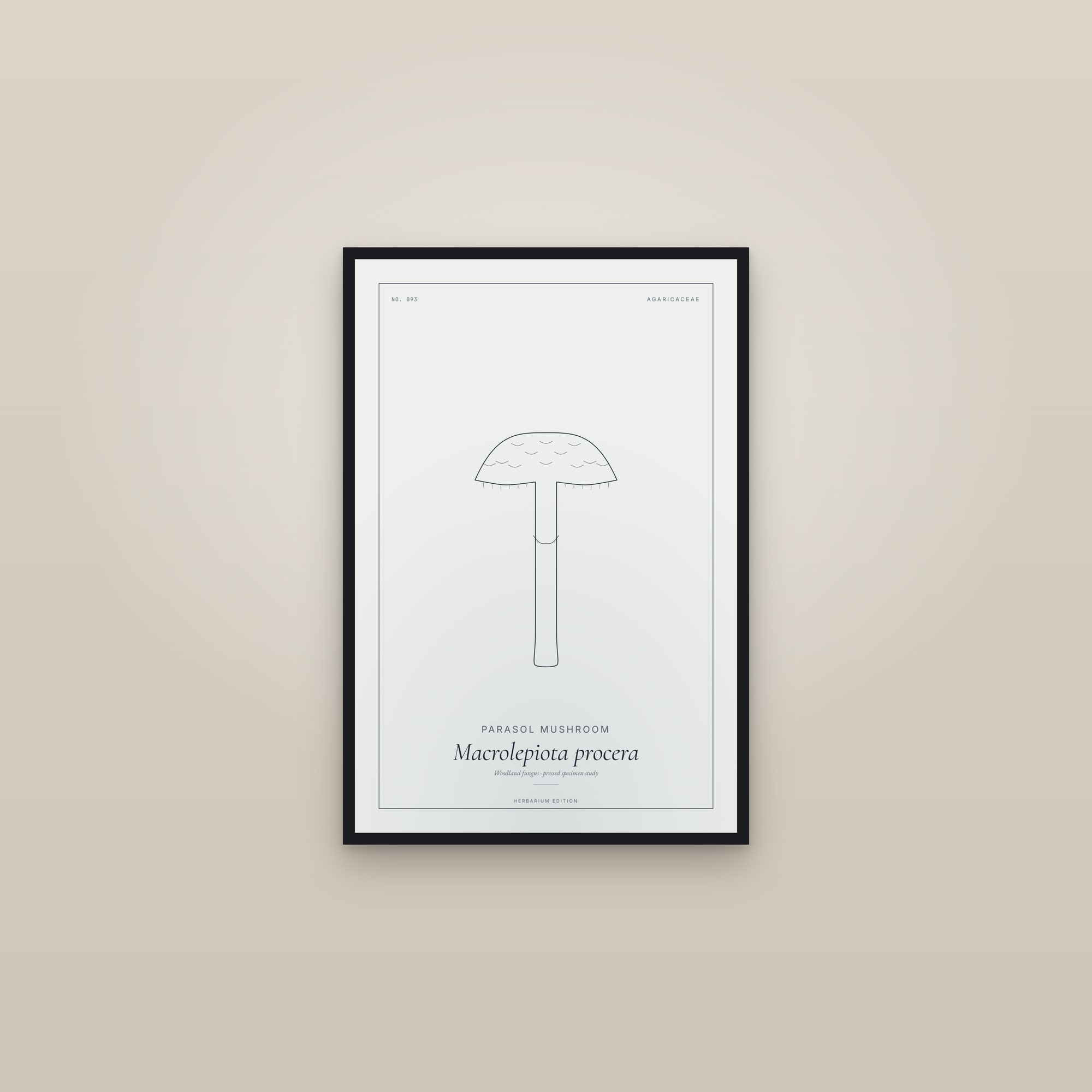 Parasol Mushroom — Botanical Specimen — framed in a gallery setting