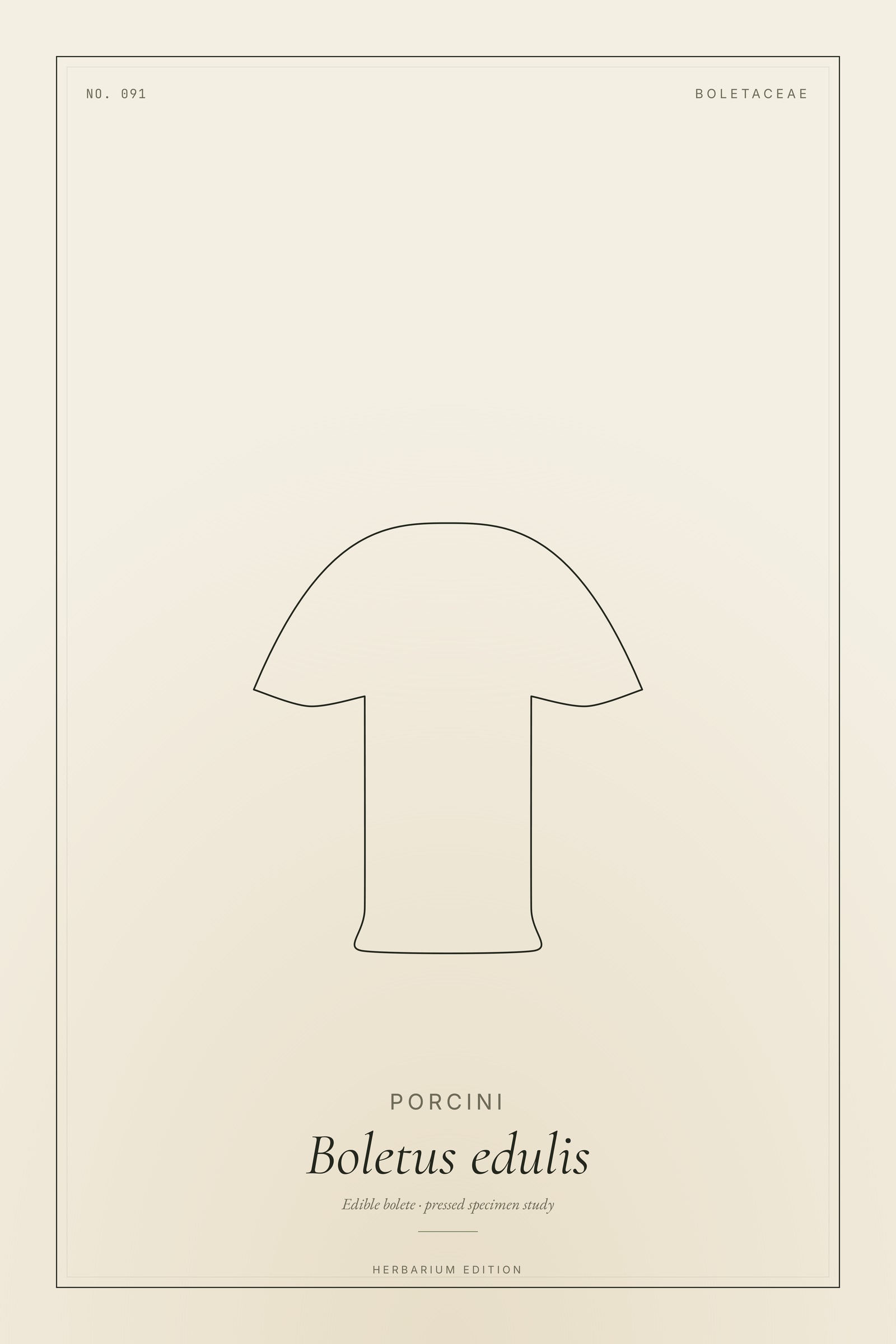 Porcini — Botanical Specimen