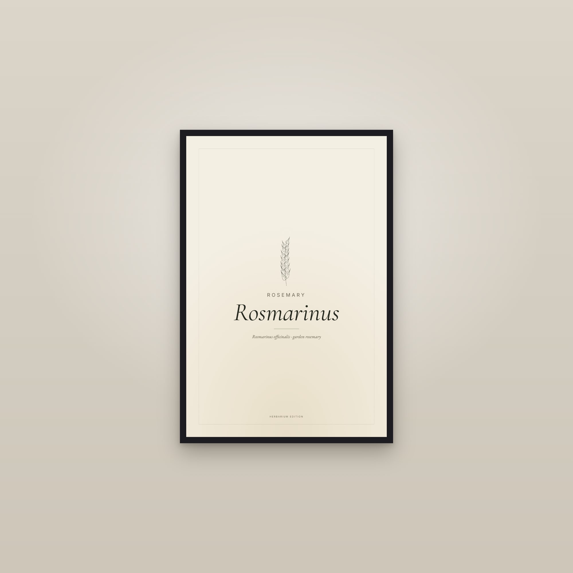 Rosmarinus — Typographic Botanical — framed in a gallery setting