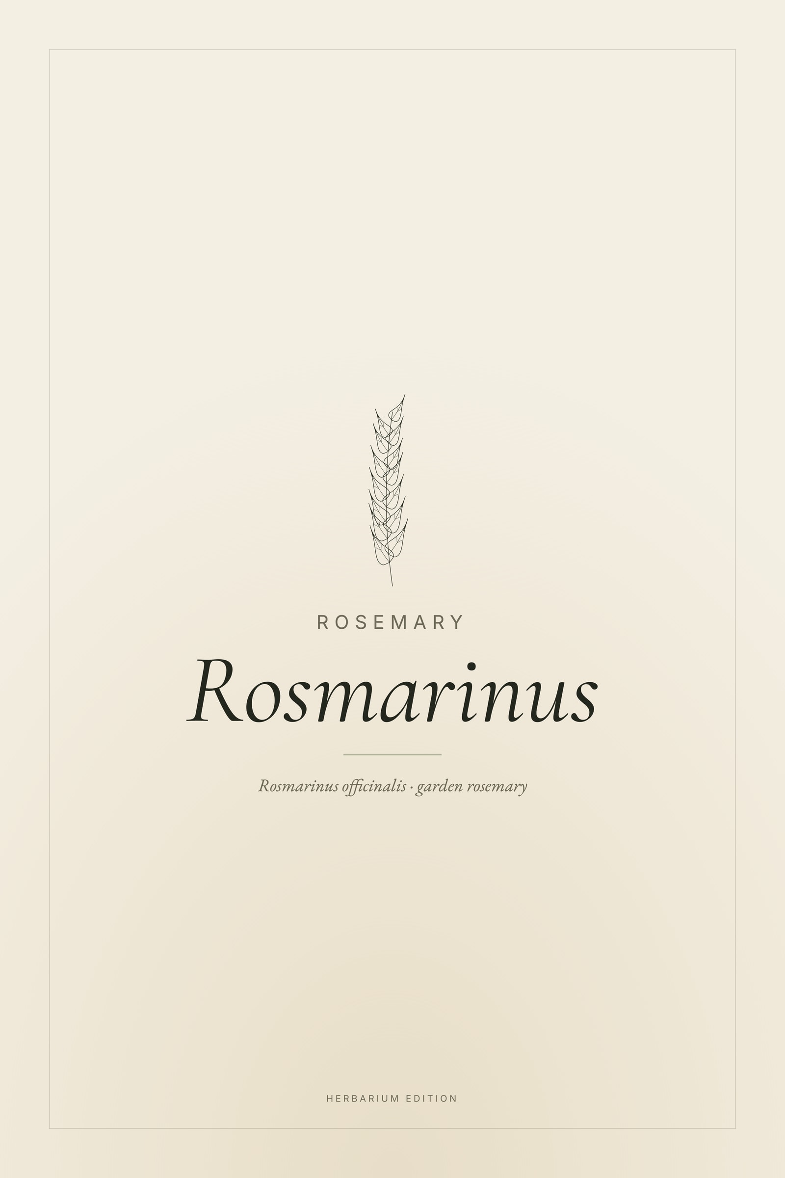Rosmarinus — Typographic Botanical