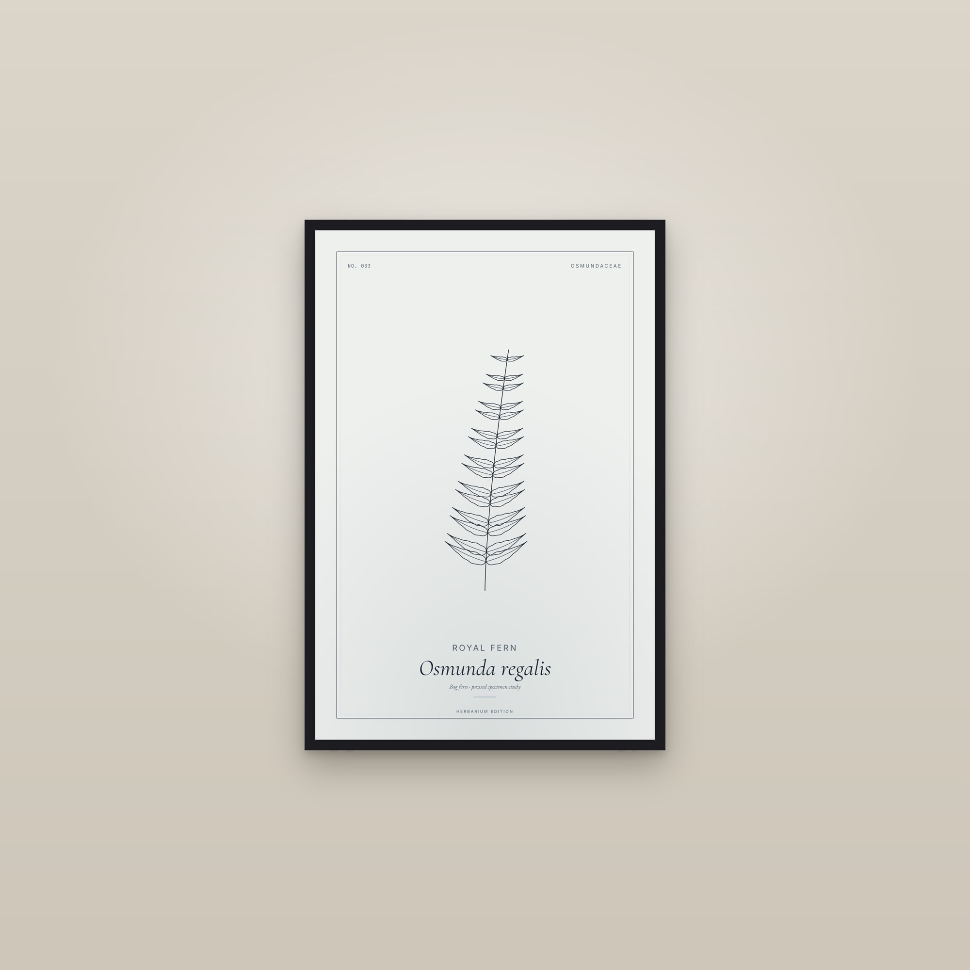 Royal Fern — Botanical Specimen — framed in a gallery setting