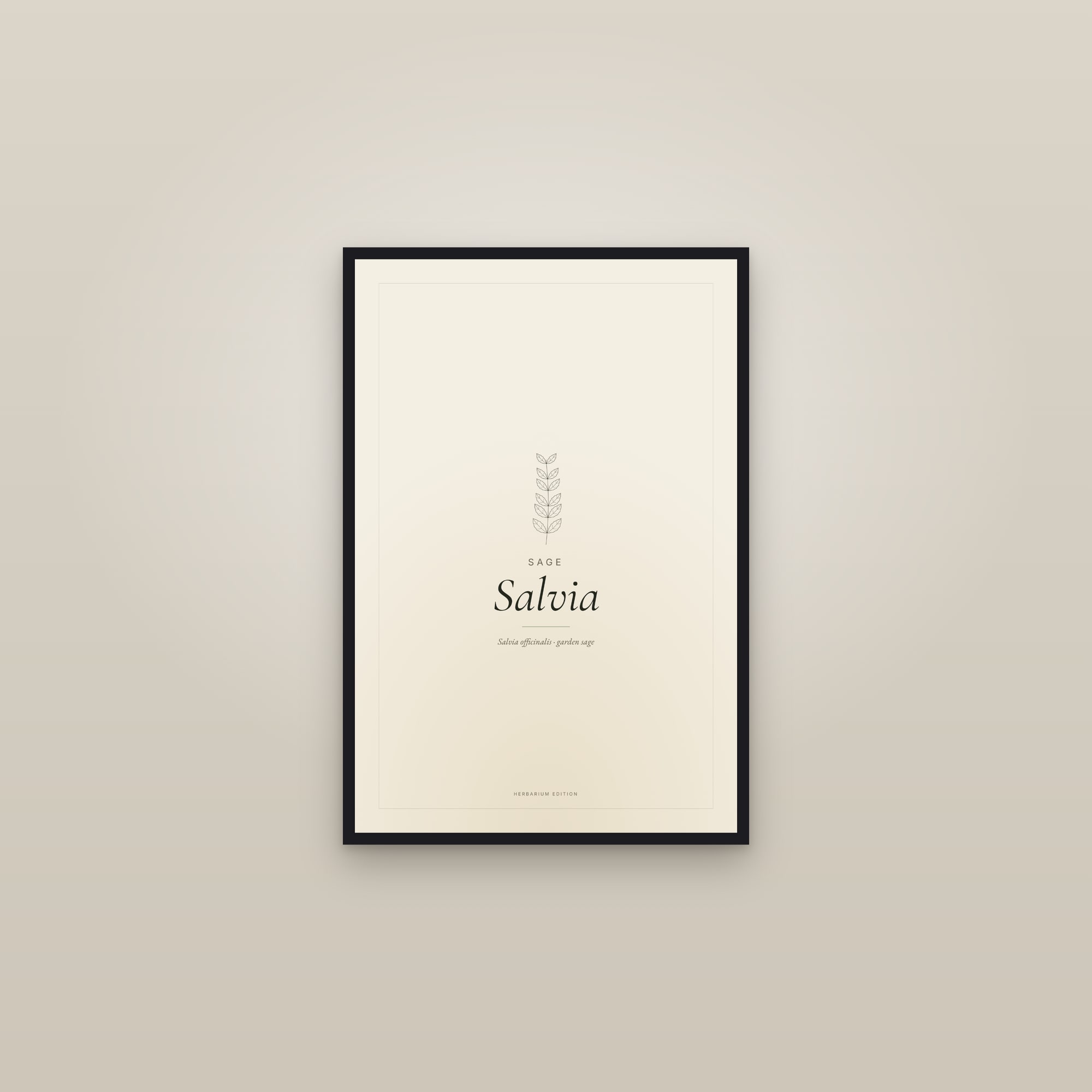 Salvia — Typographic Botanical — framed in a gallery setting