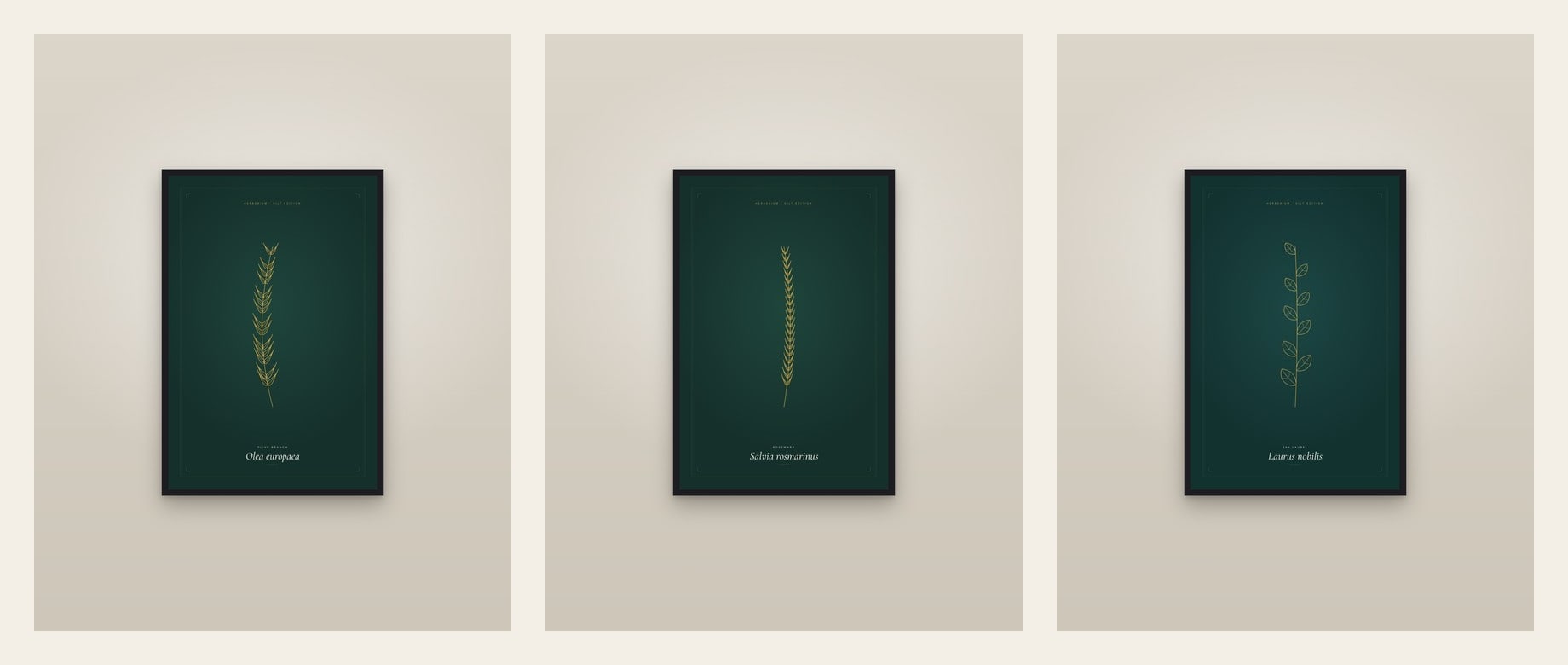 Gilt Botanicals on Green — set of three prints
