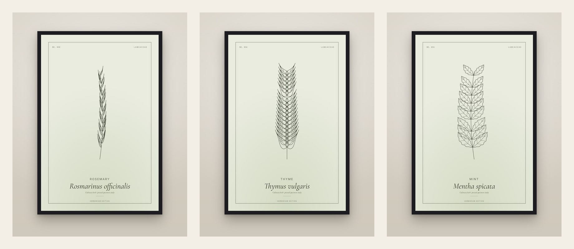 Kitchen Herbs — set of three prints
