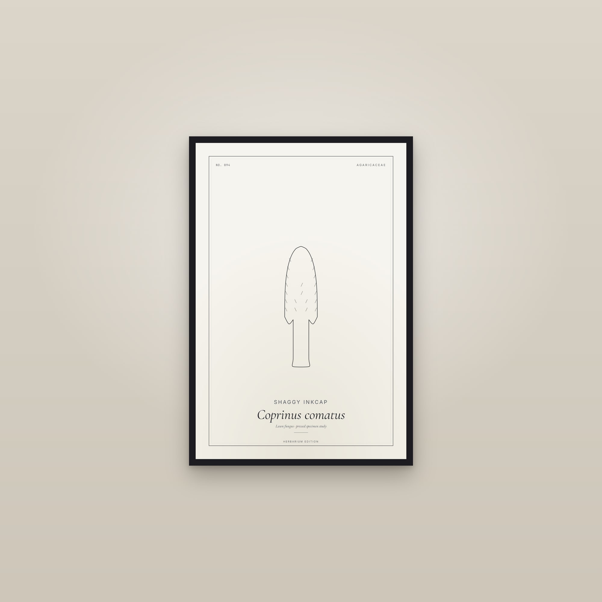 Shaggy Inkcap — Botanical Specimen — framed in a gallery setting