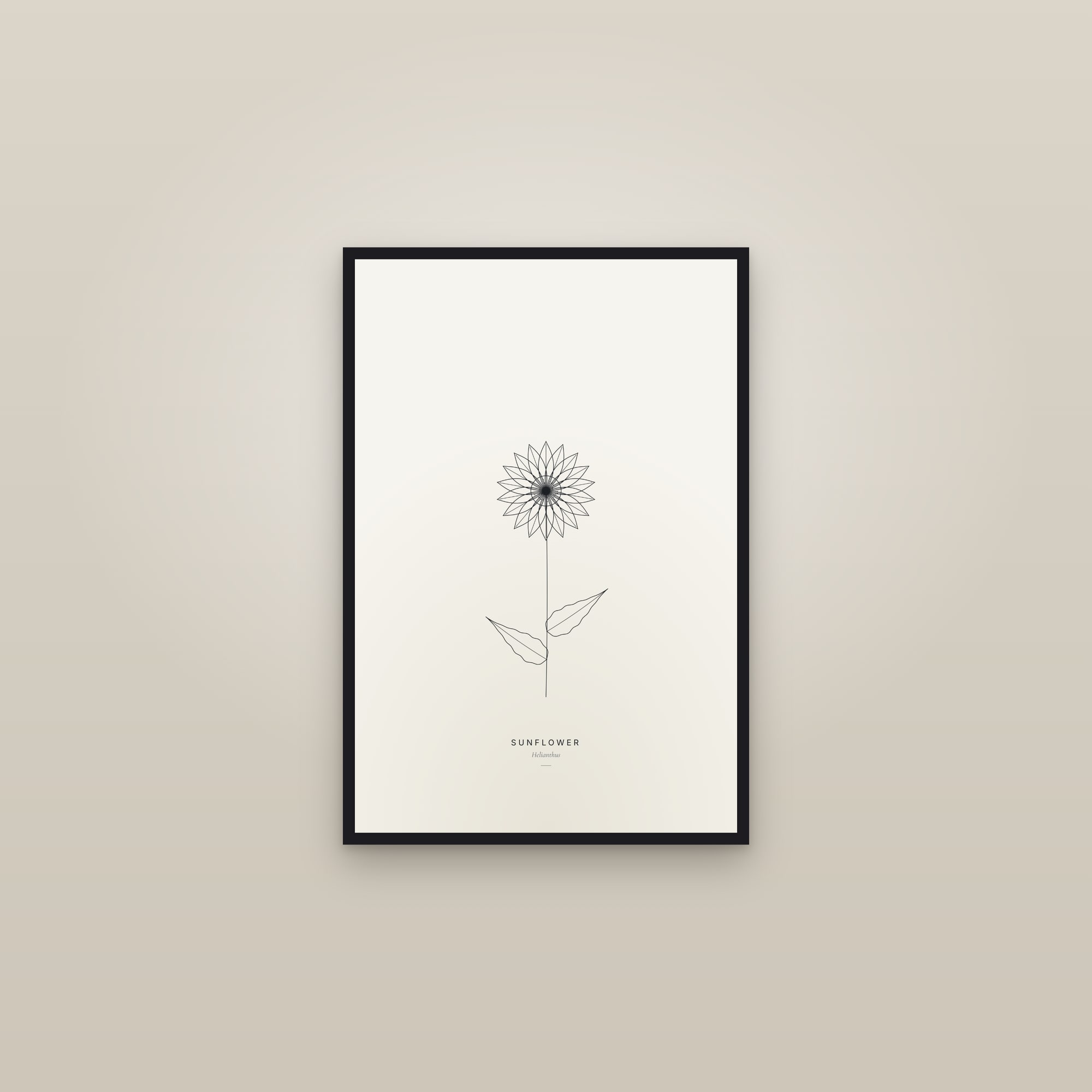 Sunflower (Line) — Line Study — framed in a gallery setting