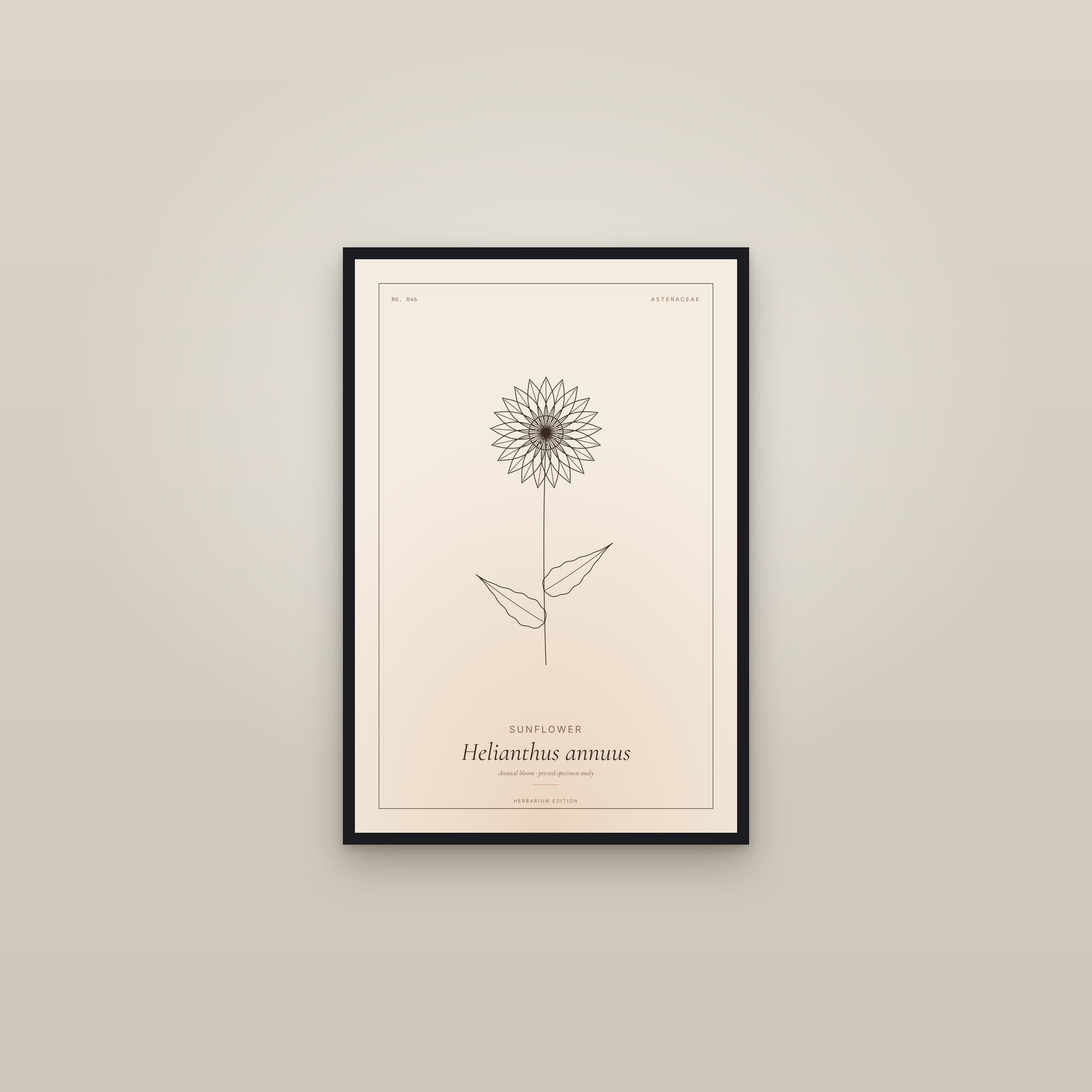 Sunflower — Botanical Specimen — framed in a gallery setting