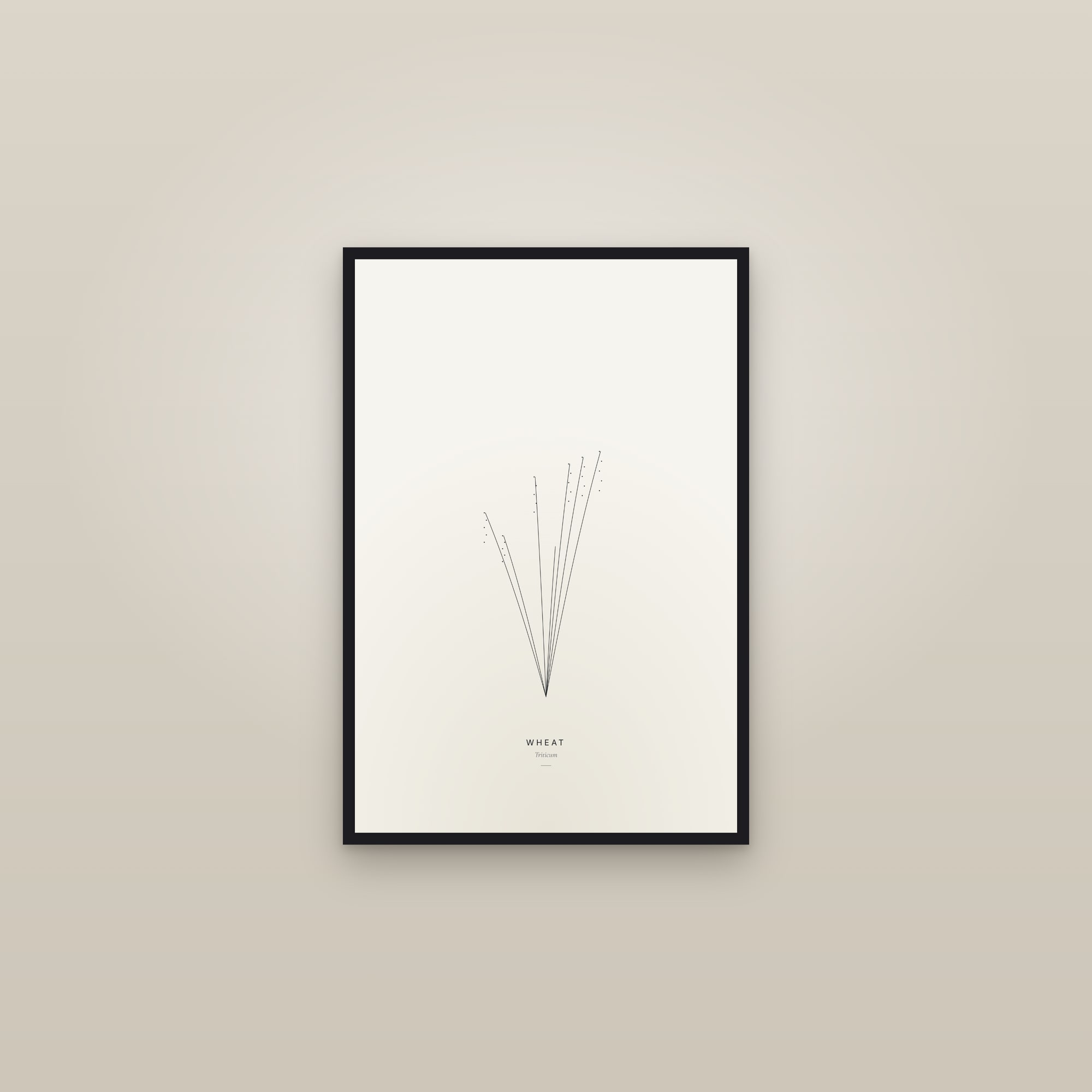 Wheat (Line) — Line Study — framed in a gallery setting