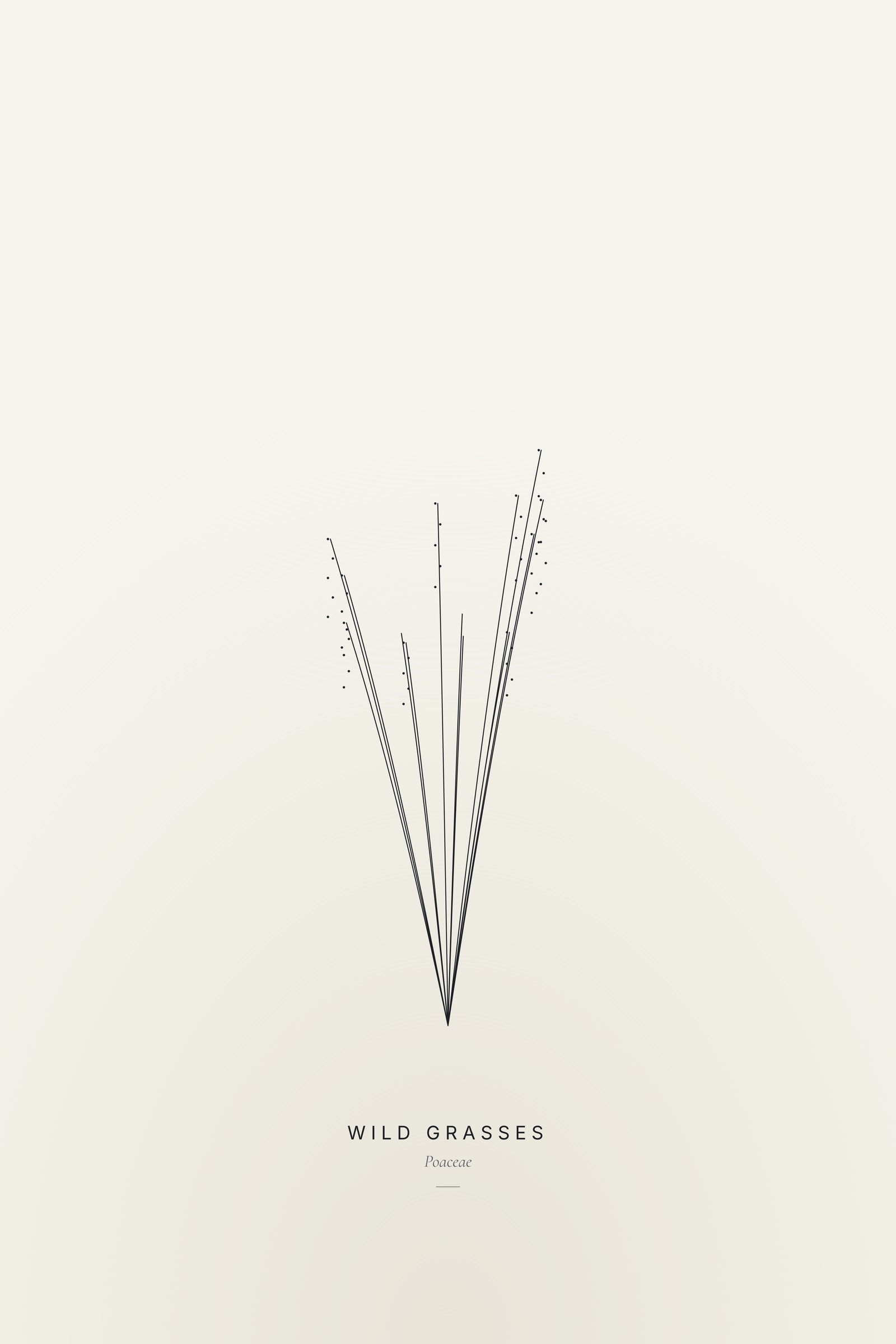 Wild Grasses — Line Study