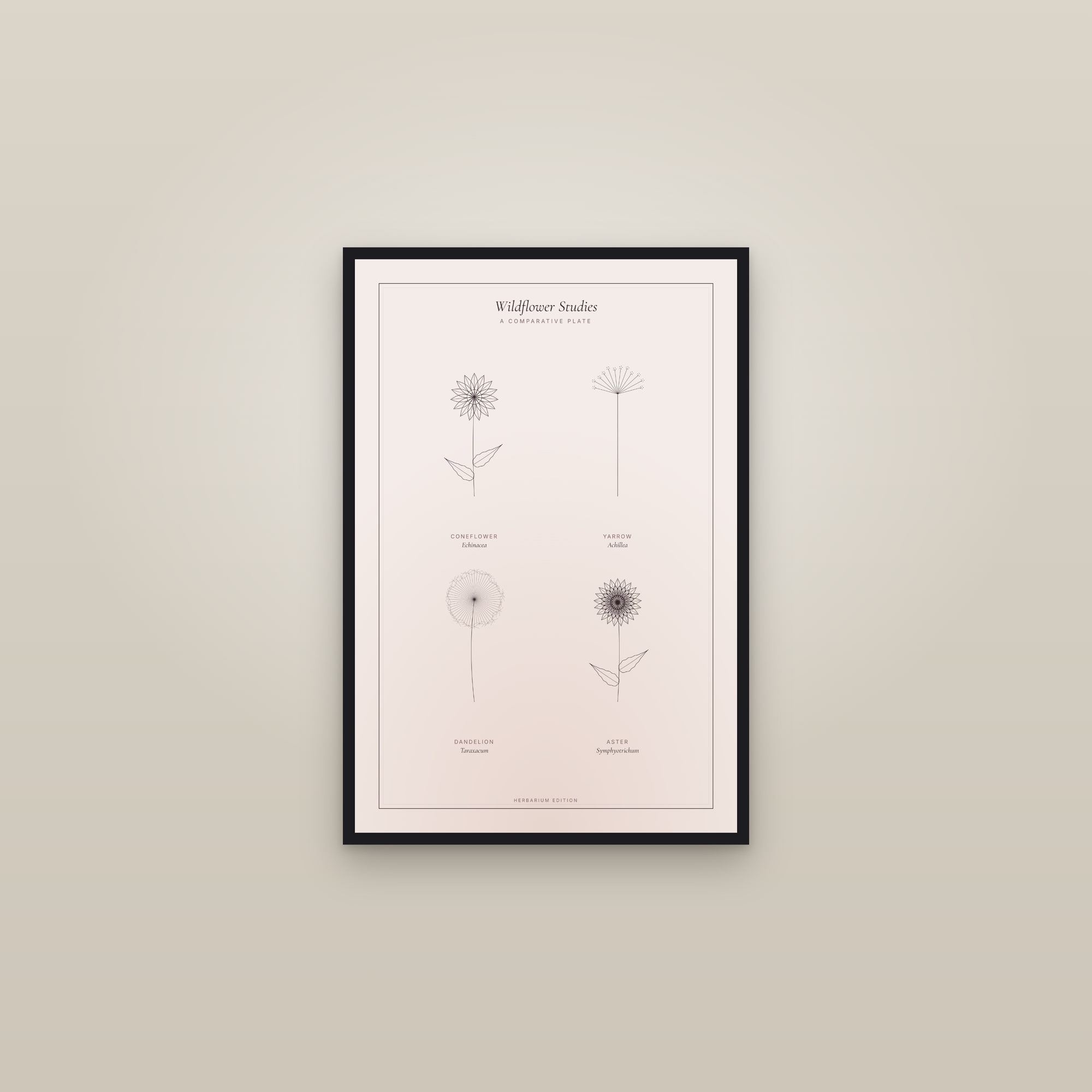 Wildflower Studies — Botanical Plate — framed in a gallery setting